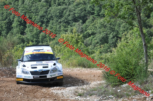DSC_4930.JPG